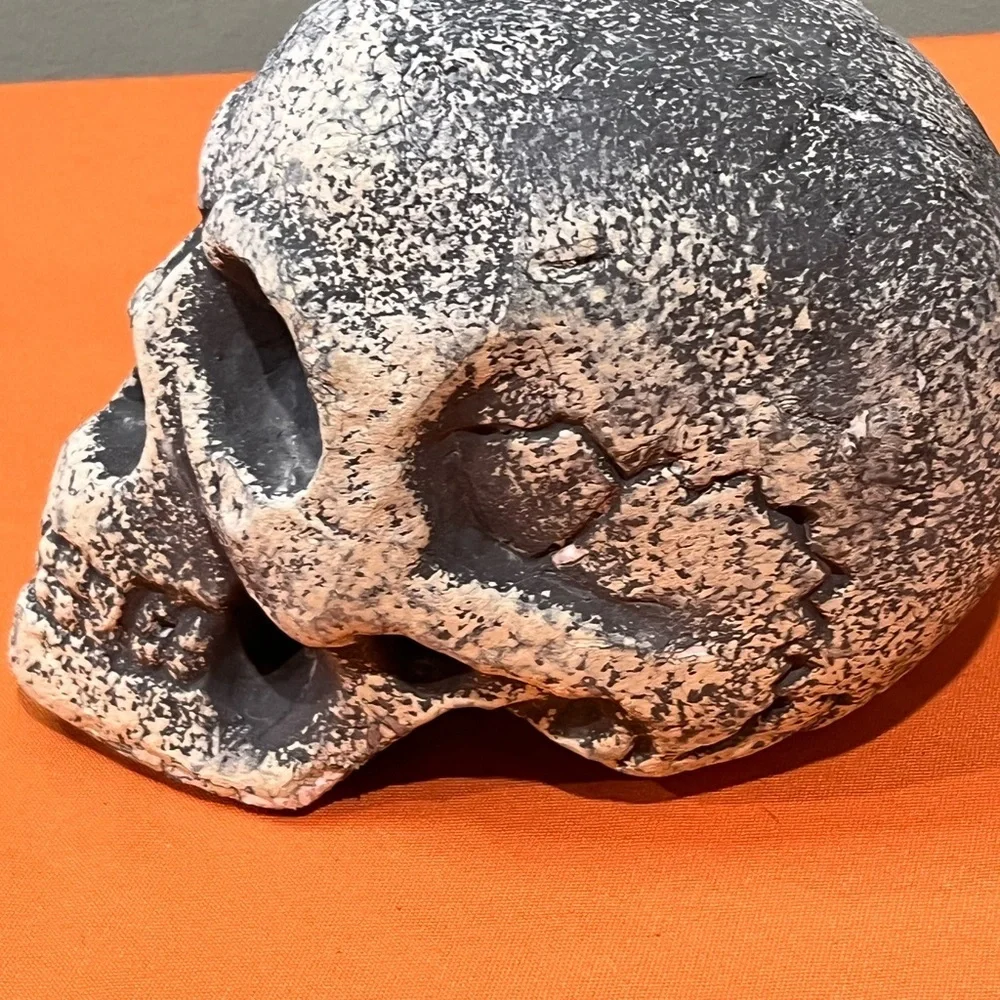 6/$25 Gray and White Skull Decor Set - Picture 10 of 15